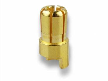 Goldkontakt • Ø6,0mm • Stecker