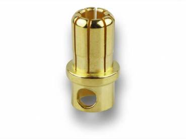 1x Goldkontakt • Ø8,0mm • Stecker • Bulk
