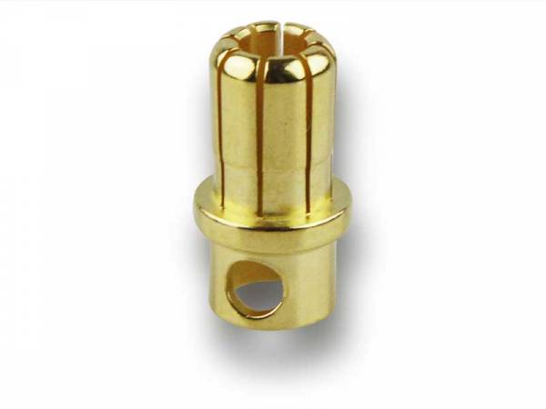 1x Goldkontakt • Ø8,0mm • Stecker • Bulk